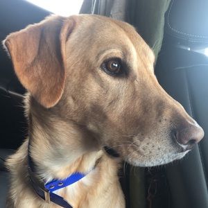 Meet your Posher, Samara